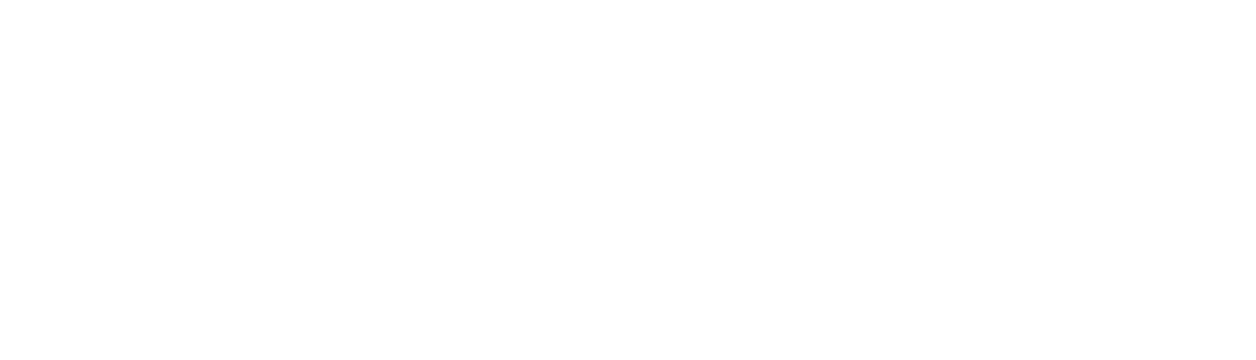 Logo SBO